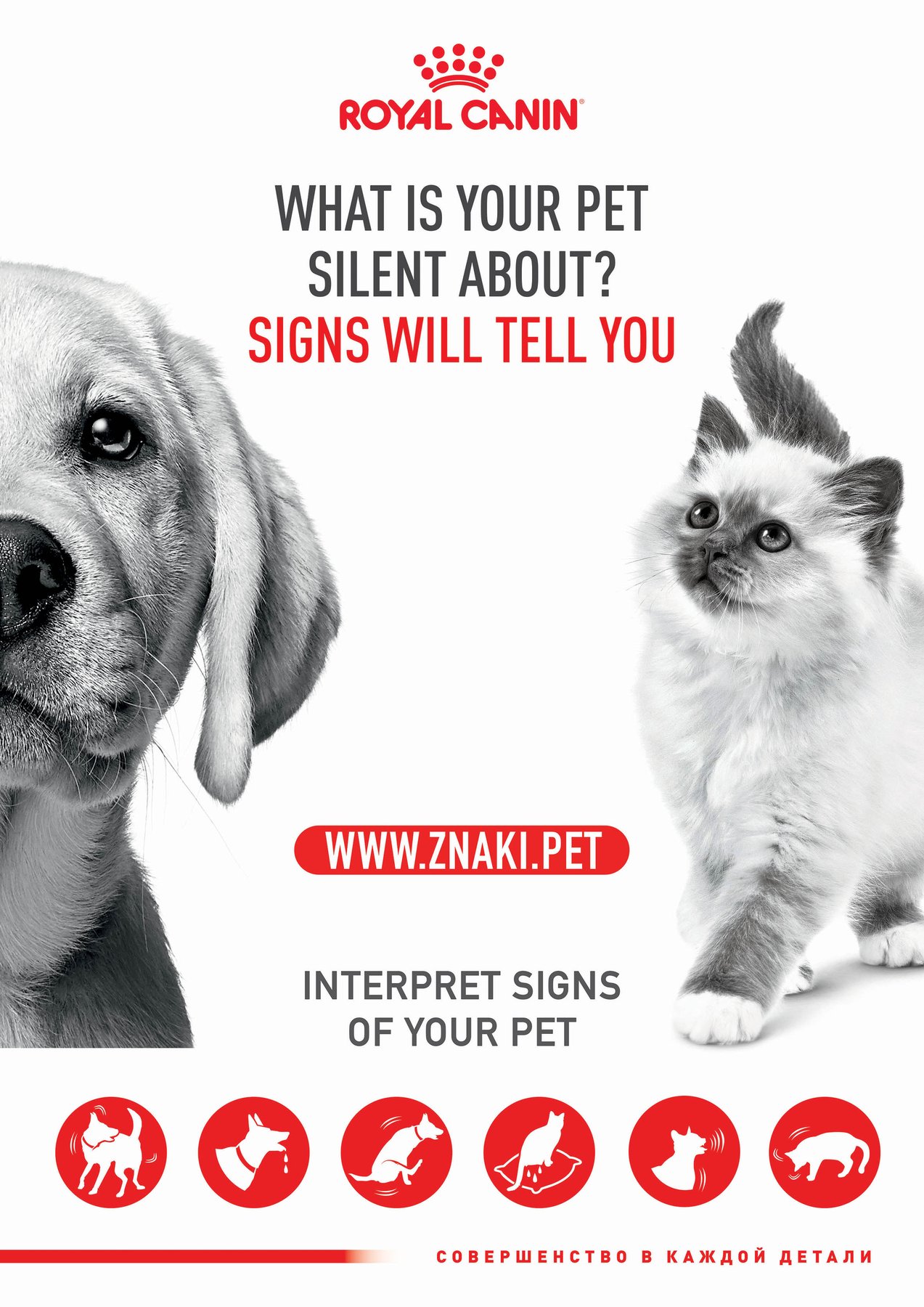 Royal Canin — 01