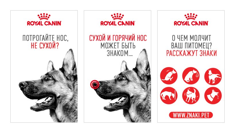 Royal Canin — 04