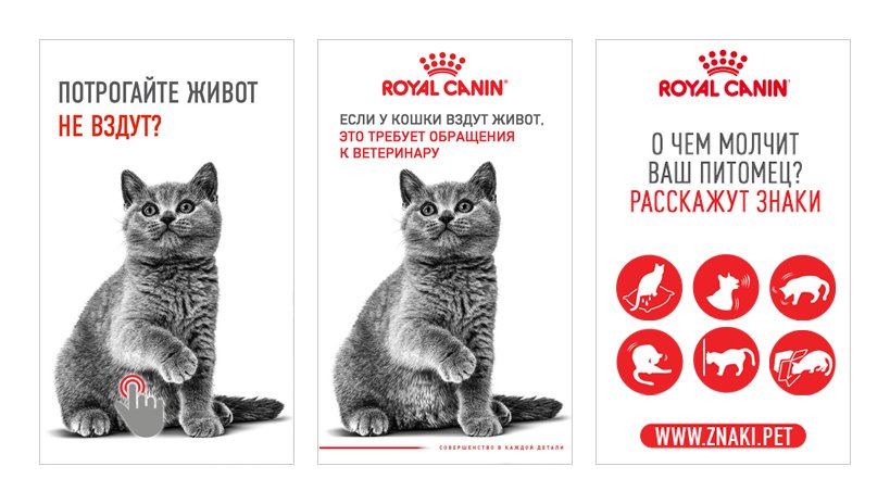 Royal Canin — 05