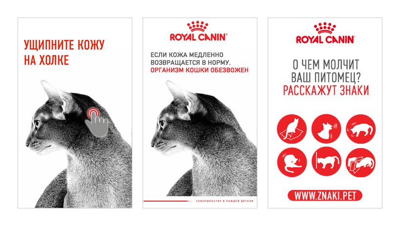 Royal Canin — 06