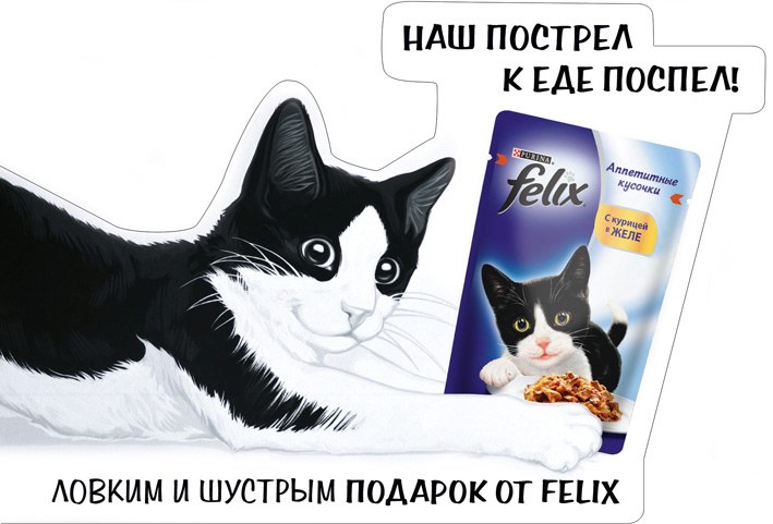 Felix — shelf-stopper
